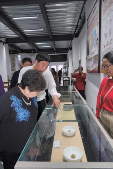 雨花石地质公园亮相南京矿博会 寿嘉华等专家考察园区建言献策_fororder_图片7_副本