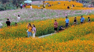荷兰花海百合花文化旅游季启幕 以特色文化赋能乡村文旅高质量发展
