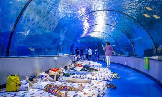 双城跨域共振 欧乐堡文旅赋能区域旅游高质量发展_fororder_图片9
