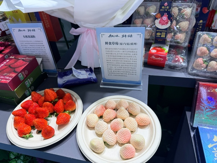 30余家江苏企业参展,青洽会江苏馆里全是“显眼包”!