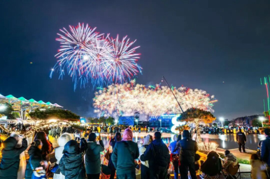 与宁相约 南京新年开门红_fororder_IMG_1433