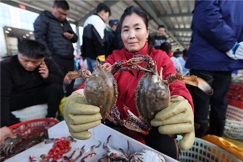 江苏连云港：秋捕梭子蟹喜丰收_fororder_20251030_093856_000
