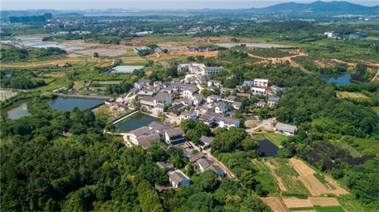 视频丨咖啡落杯,乡村“苏醒” 南京溧水 “村咖” 激活乡村发展一池春水