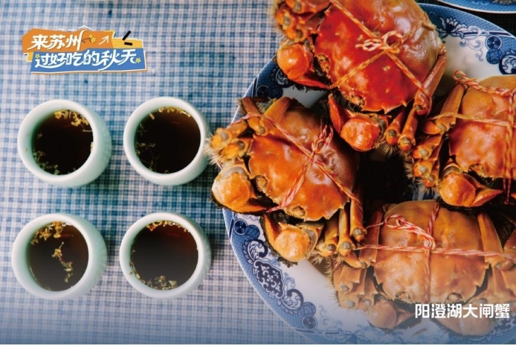 苏州文旅邀您来苏州 过好吃的秋天