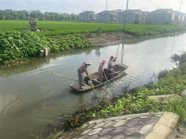 东台市五烈镇联堡村：深入推进“六位一体”长效管护 绘就美丽宜居新画卷_fororder_16