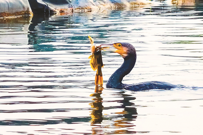 图片默认标题_fororder_微信图片_20260105093929