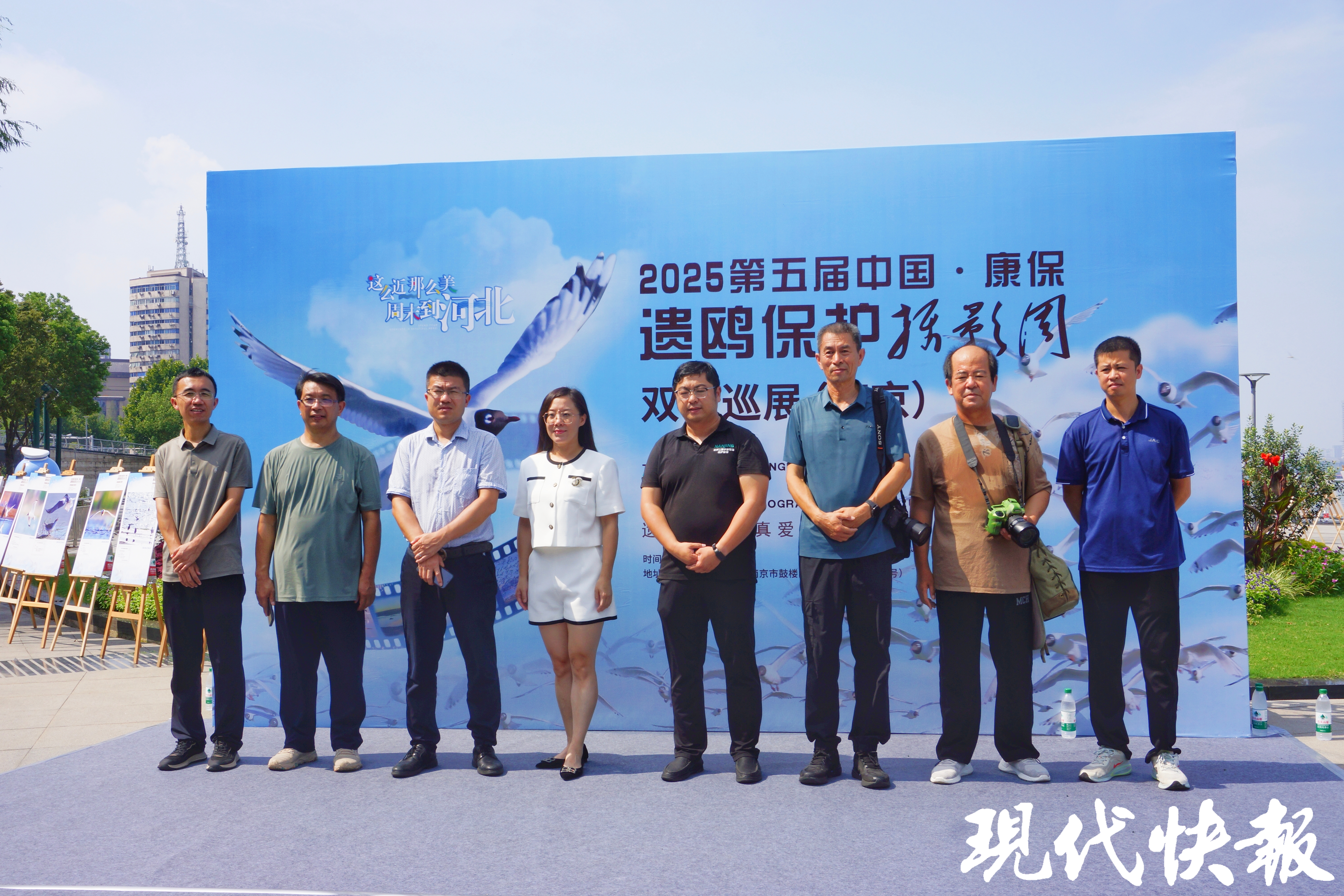 遗鸥从坝上草原飞入江南水乡，与江豚跨越千里“牵手”