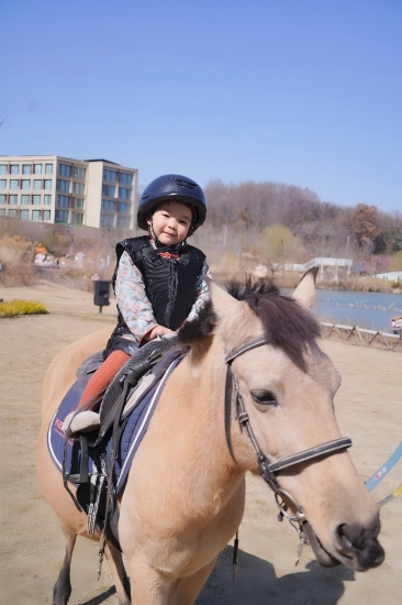 世界文学之都飘来“苏”式年味 《大师和玛格丽特》亮相仙林