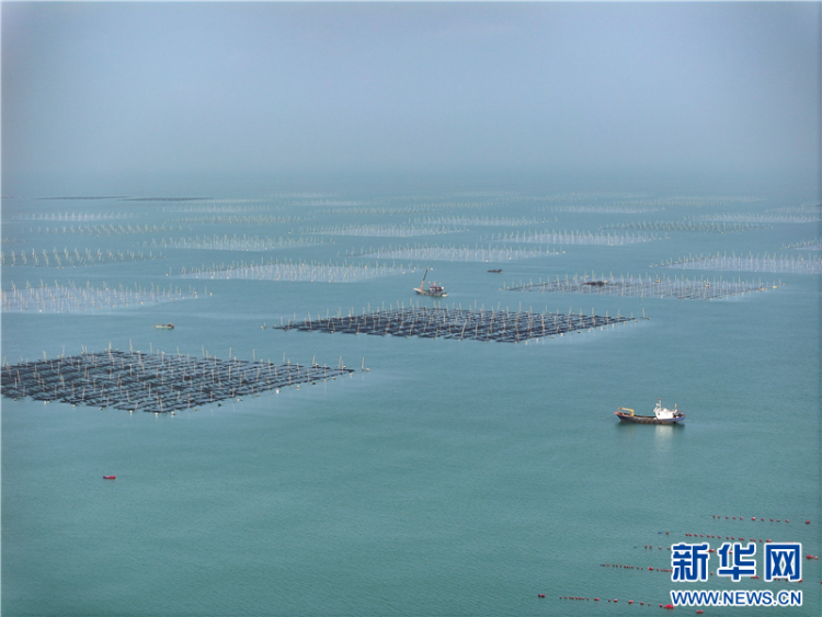 连云港赣榆：奏响海洋牧场丰收曲_fororder_20251015_091211_004