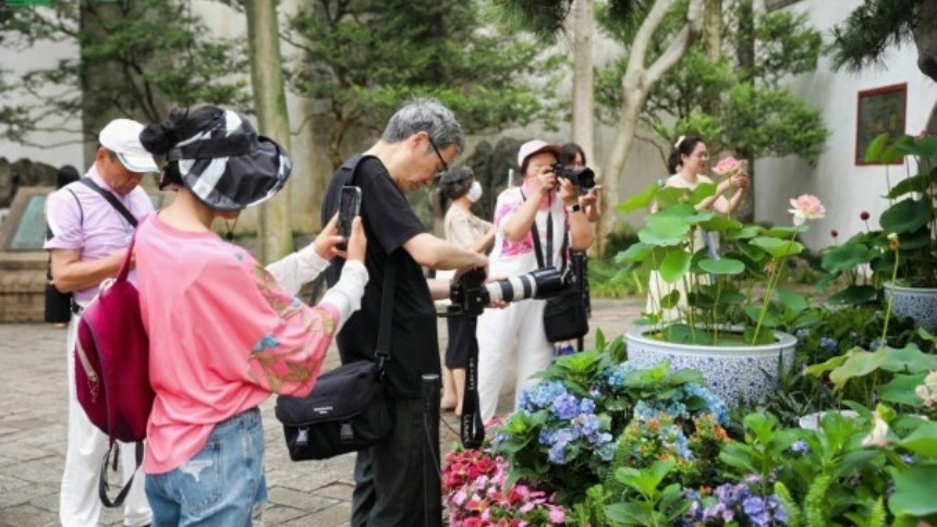 “荷”你相约 2026苏州荷花展在拙政园启幕