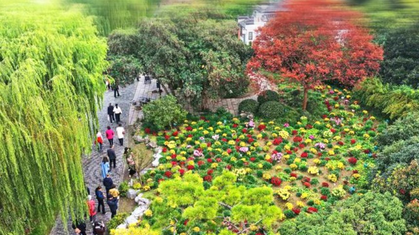 扬州：人观景 菊争艳