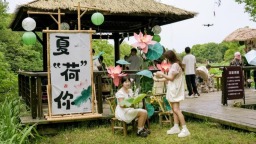 苏州太湖国家湿地公园荷花市集清雅启幕——荷风雅集·江湖雅韵共绘湿地夏日盛景