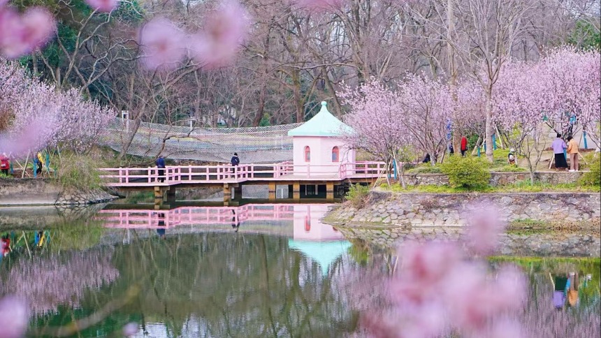 金陵春醒，莫辜负这好春光