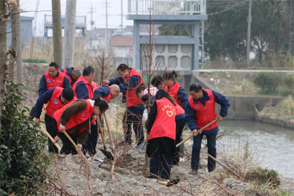 东台市五烈镇干群开展义务植树活动 共绘美丽乡村新画卷_fororder_32