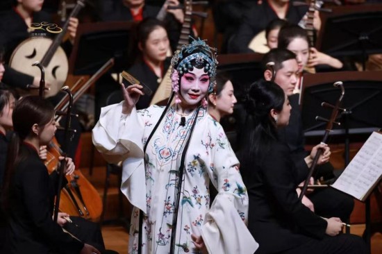 融传统铸华章 2026江苏名曲名家新年音乐会以乐为媒传递江南文化底蕴_fororder_图片 2