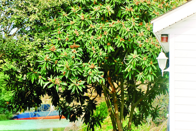 图片默认标题_fororder_微信图片_20260113092945