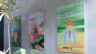 朱赢椿“虫遇”展览南京启幕 “虫子谷”生态文旅项目焕新自然艺术