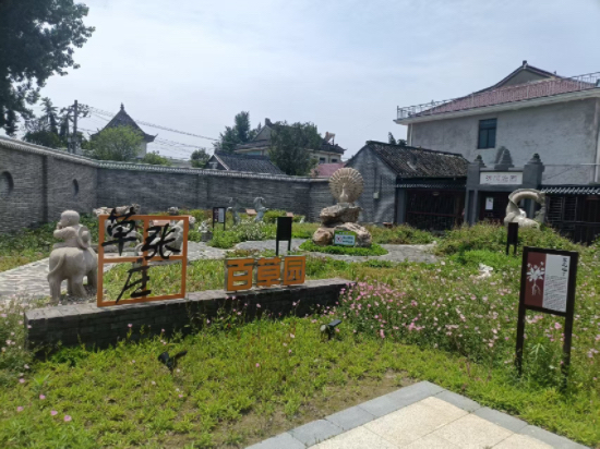南通如皋:触摸“长寿之乡”的幸福底色