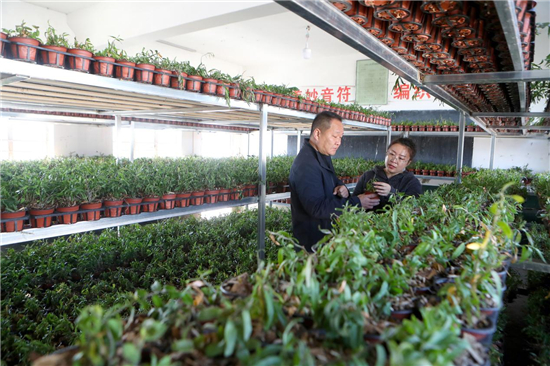 江苏淮安：闲置校舍“长”出致富良药_fororder_图片17