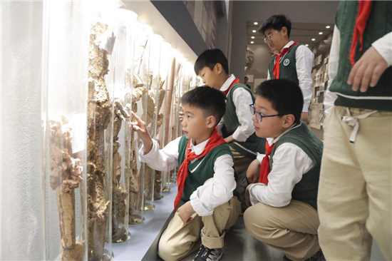 江苏省地震局开展全国防灾减灾日研学活动 助力小学生提升防震减灾意识_fororder_图片3