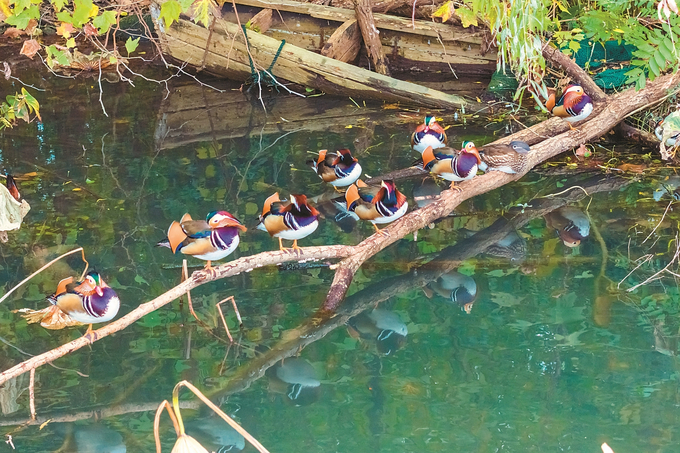 图片默认标题_fororder_微信图片_20260105093908