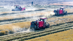 江苏种子的“科技春耕图”｜一粒米“守”住一方丰壤