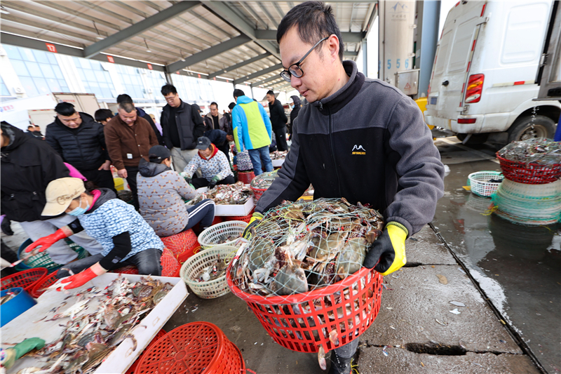 江苏连云港：秋捕梭子蟹喜丰收_fororder_20251030_093856_004