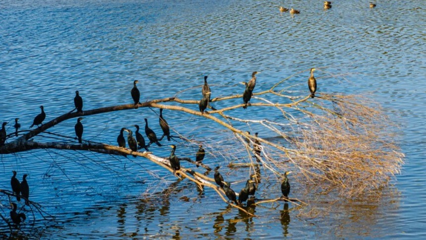 2025年南京优良天数比率87.4%全省第一