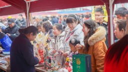 “年味润乡土 服务暖民心” 淮安盱眙“三下乡”集中服务活动火热启动