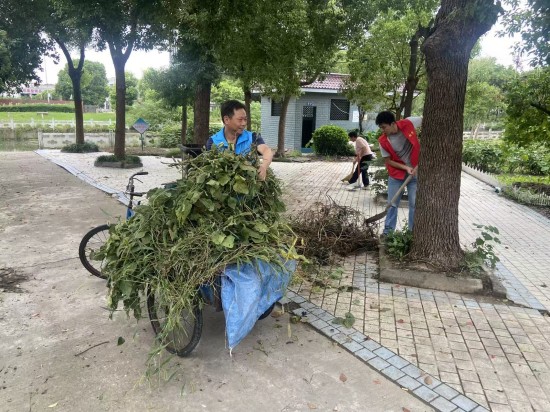 泰州兴化戴南镇赵万村：“党建红”引领“生态绿”_fororder_图片 4