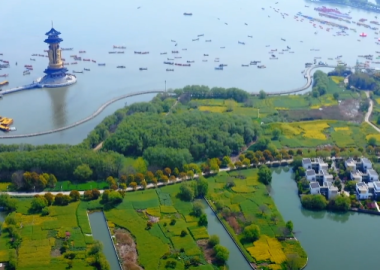 视频丨泰州邮储搭台，千垛菜花为景，兴化特色美食飘香_fororder_微信图片_20251027152820