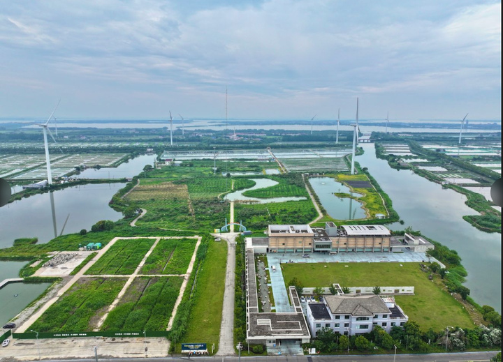 “点线面”跨区相融：阳澄湖畔好风景