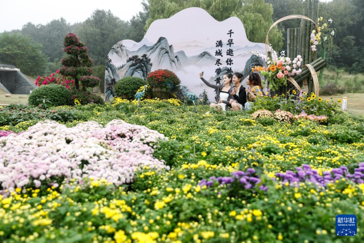 江苏句容：宝华山下文旅热_fororder_20250928_092658_000