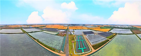 盱眙龙虾：从县城美食到全球IP_fororder_图片10