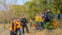植树添绿正当时 泰州青年守护水清岸绿生态底色