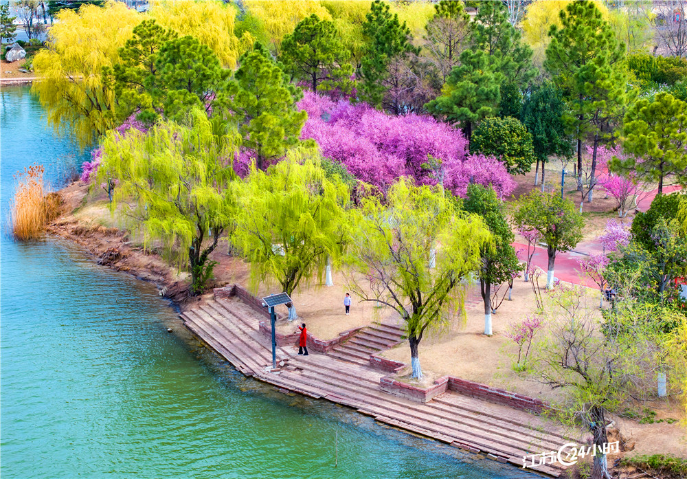 连云港东海：国家湿地公园春景如画_fororder_2