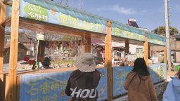 江苏：在乡村与“毛孩子们”一起撒欢！