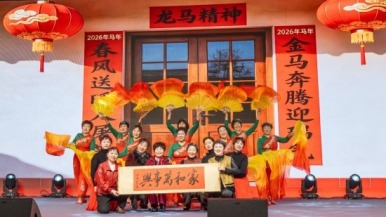 南通苏锡通园区张芝山镇村晚奏响幸福乐章