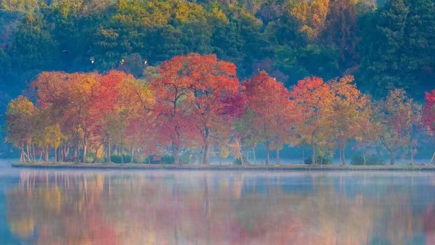 钟山“顶流”秋景迎最佳观赏期