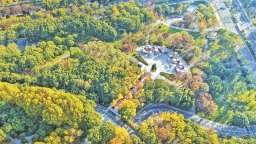 无锡：斑斓初冬