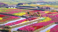 图片默认标题