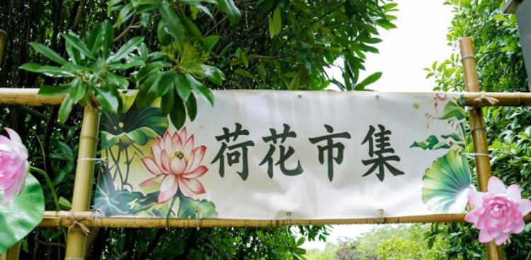 苏州太湖国家湿地公园荷花市集清雅启幕——荷风雅集·江湖雅韵共绘湿地夏日盛景_fororder_20260622_100444_005