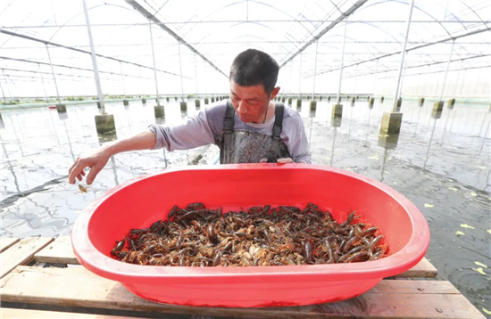 盱眙龙虾：从县城美食到全球IP_fororder_图片8