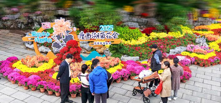 扬州：人观景 菊争艳_fororder_62b94e52-f8c9-4996-8d72-0bb53275027a