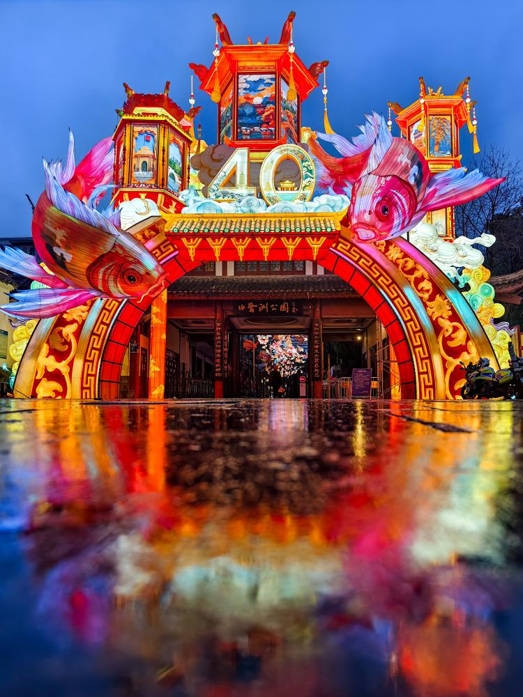 “灯映华彩 夜泊秦淮”白鹭洲公园精品灯彩艺术展区开启试灯