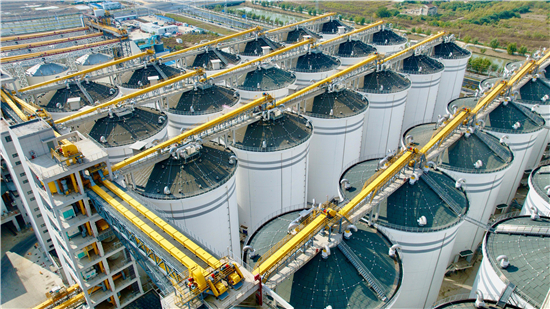 更快更高效!秋粮有了“好去处”