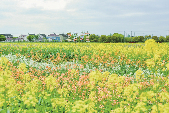 图片默认标题_fororder_微信图片_202604240932542