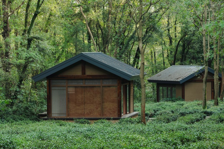 江苏南京：在这些新空间里，感受生活美学，体验诗意栖居