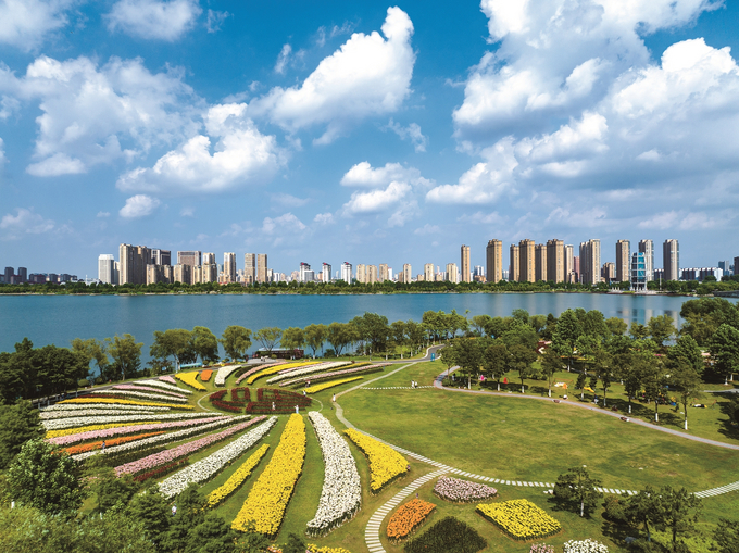 活力东海 “晶彩”答卷_fororder_微信图片_20251218093833