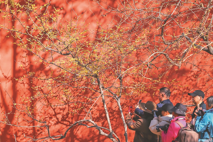 图片默认标题_fororder_微信图片_20260116093014